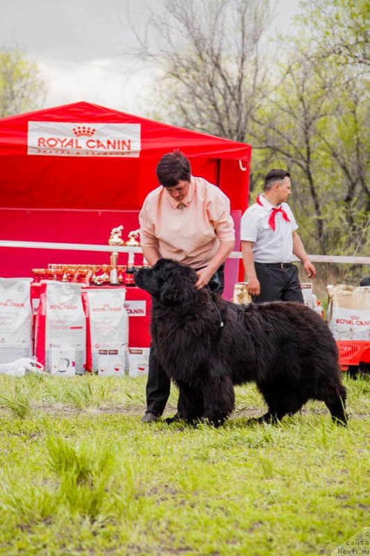 Фотография № 235893