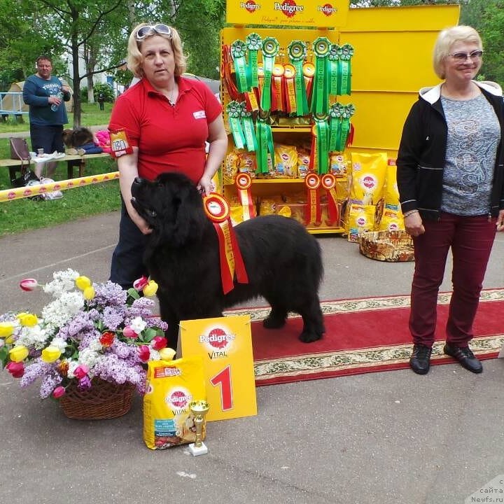 Фотография № 235897