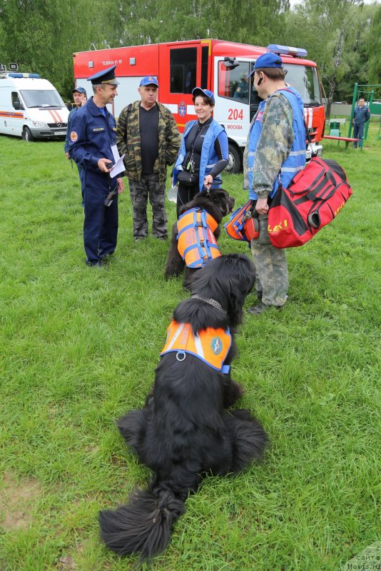 Фотография № 235911