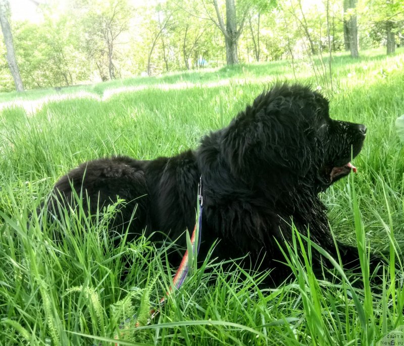 Фотография № 235919