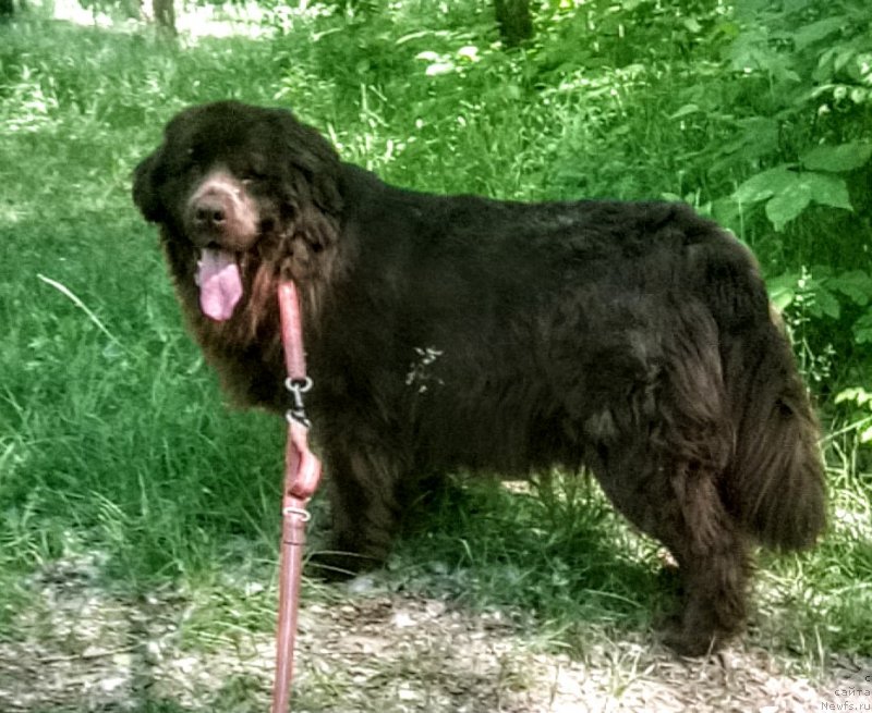 Фотография № 235921