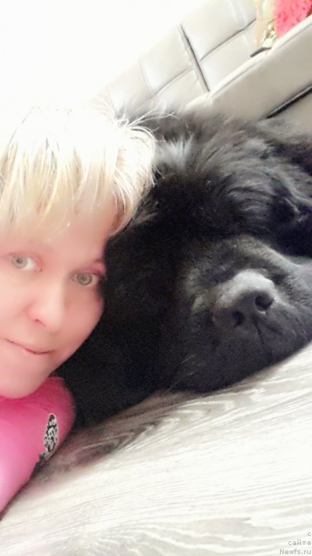 Фото: ньюфаундленд Kiper Soul Simba (Кипер Соул Симба), Elena Kazanceva (Елена Казанцева)