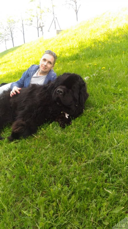 Фотография № 235955