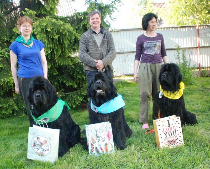 Фотография № 235956