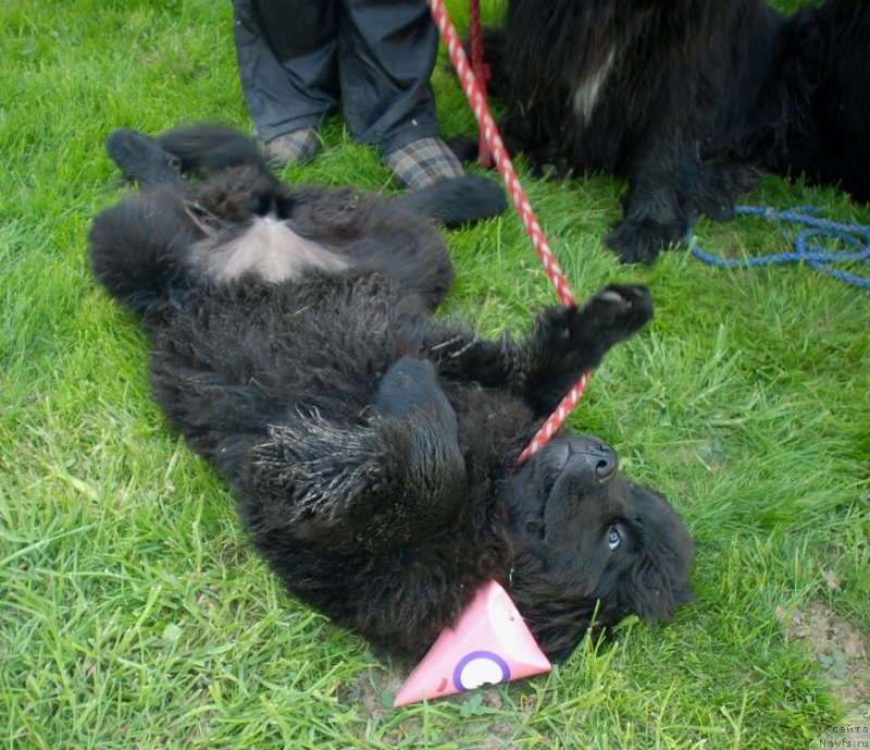 Фотография № 235968