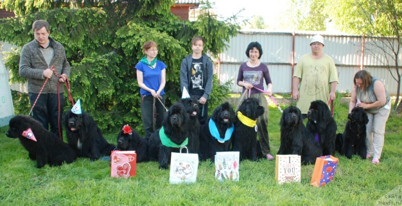 Фотография № 235969