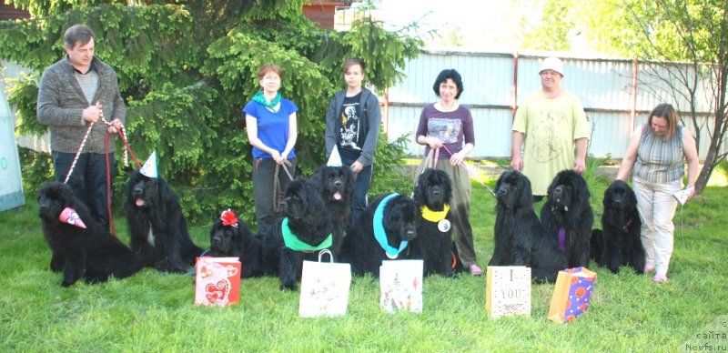 Фотография № 235971