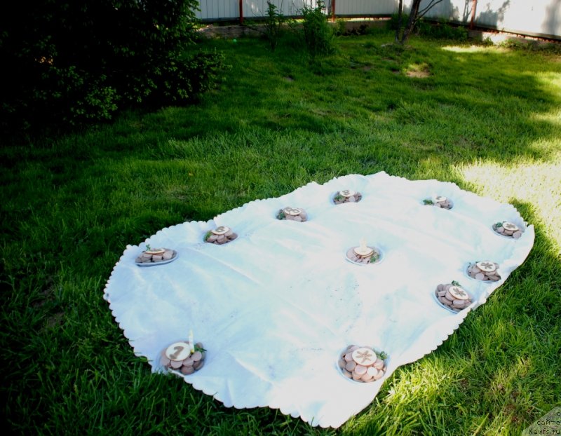 Фотография № 235981