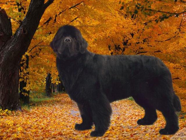 Фотография № 2360