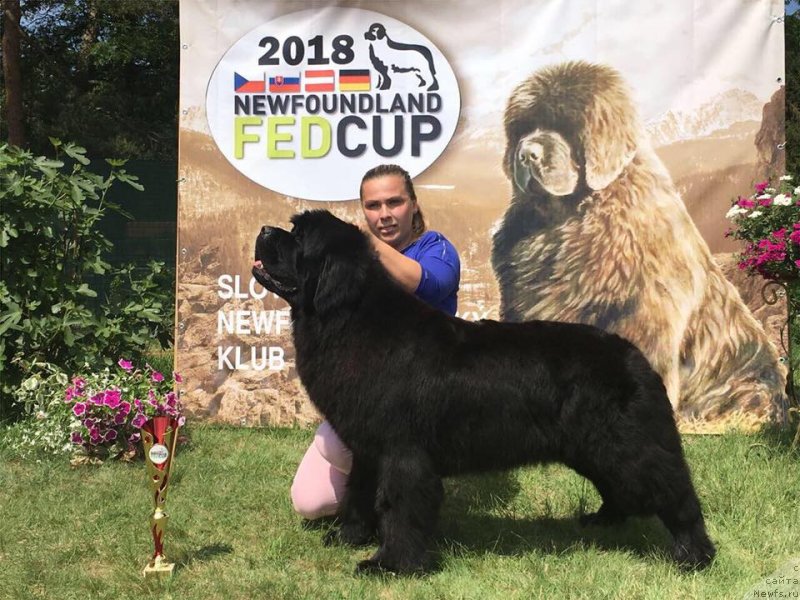 Фотография № 236000