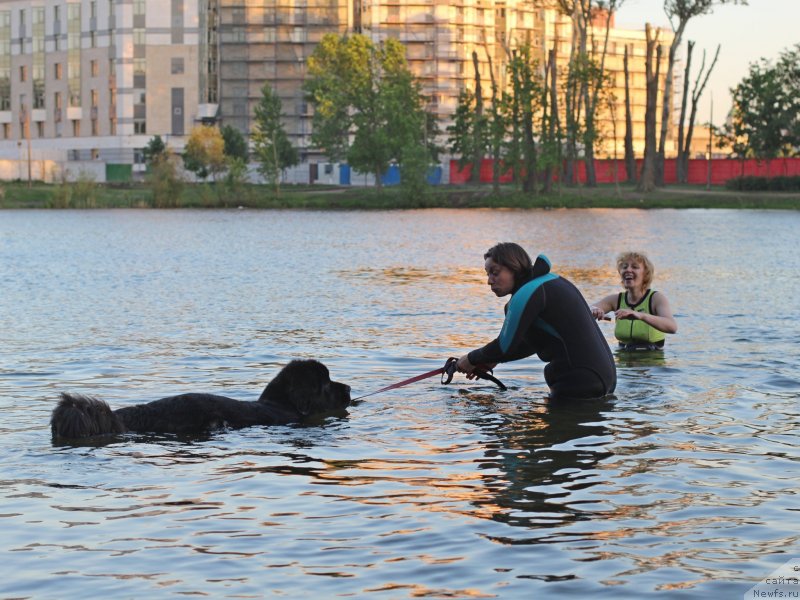 Фотография № 236041