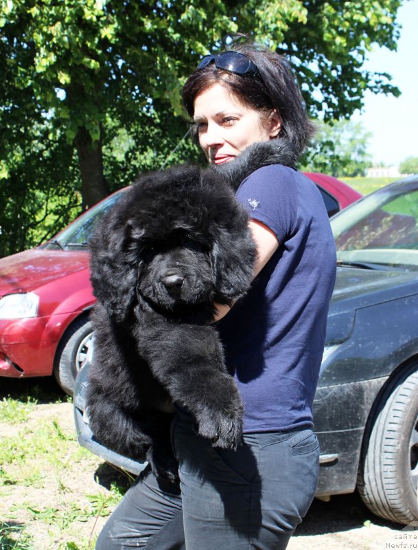 Фотография № 236048