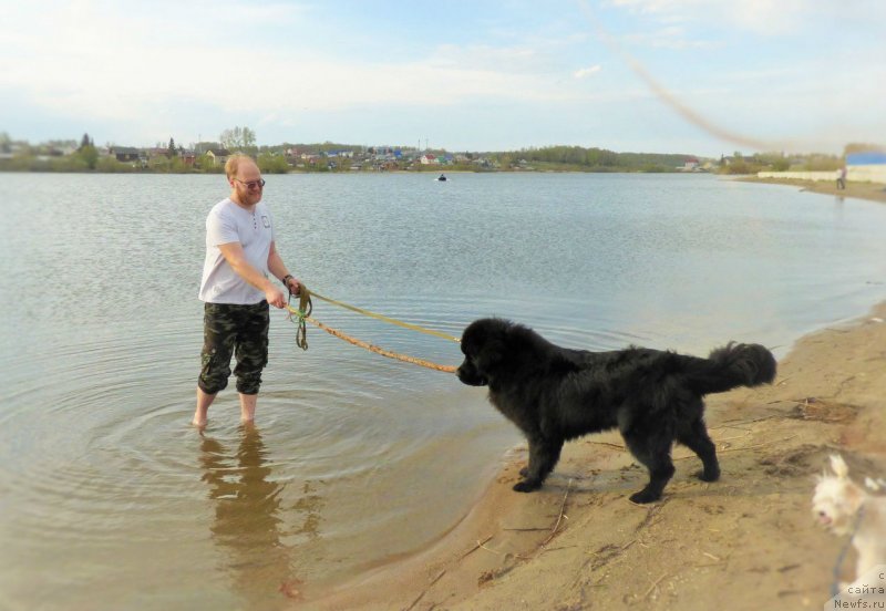 Фотография № 236053