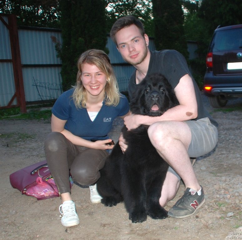 Фотография № 236059