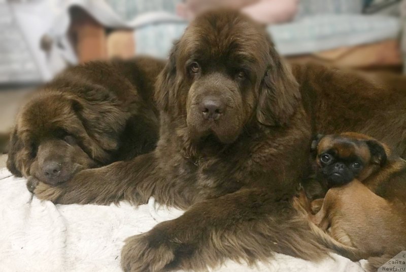 Фотография № 236061