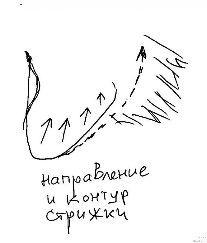 Фотография № 236078