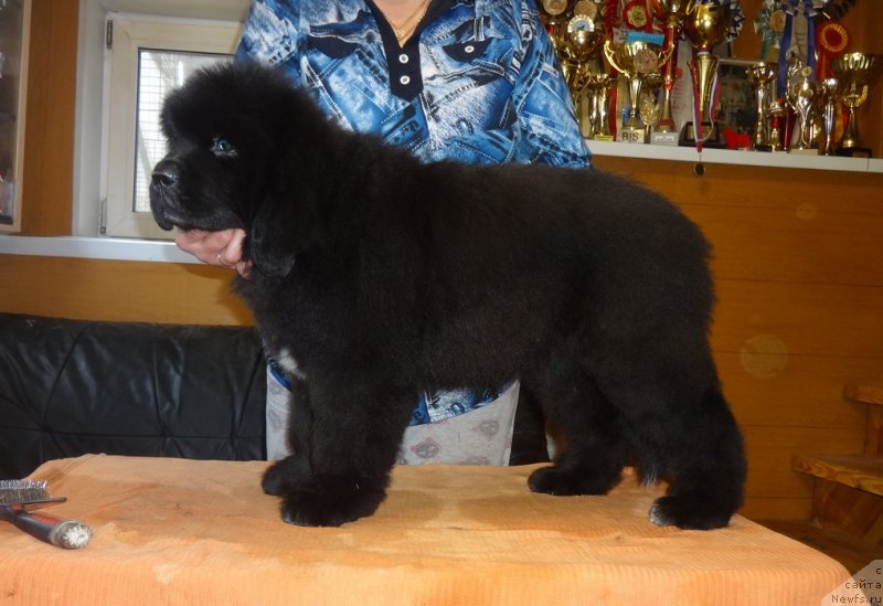 Фото: Irina Panyushkina (Ирина Панюшкина)