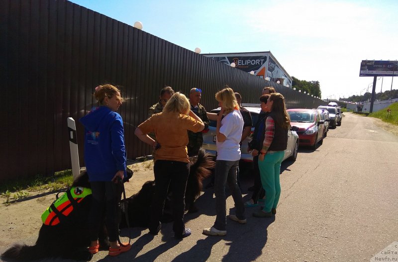 Фотография № 236092