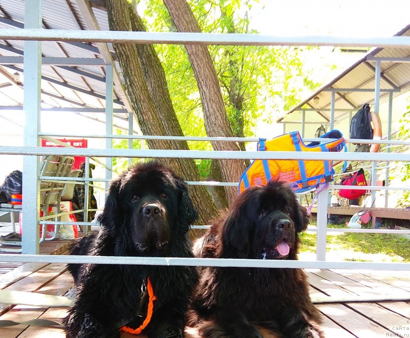 Фотография № 236093