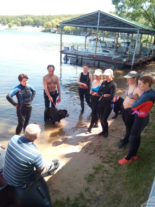 Фотография № 236094