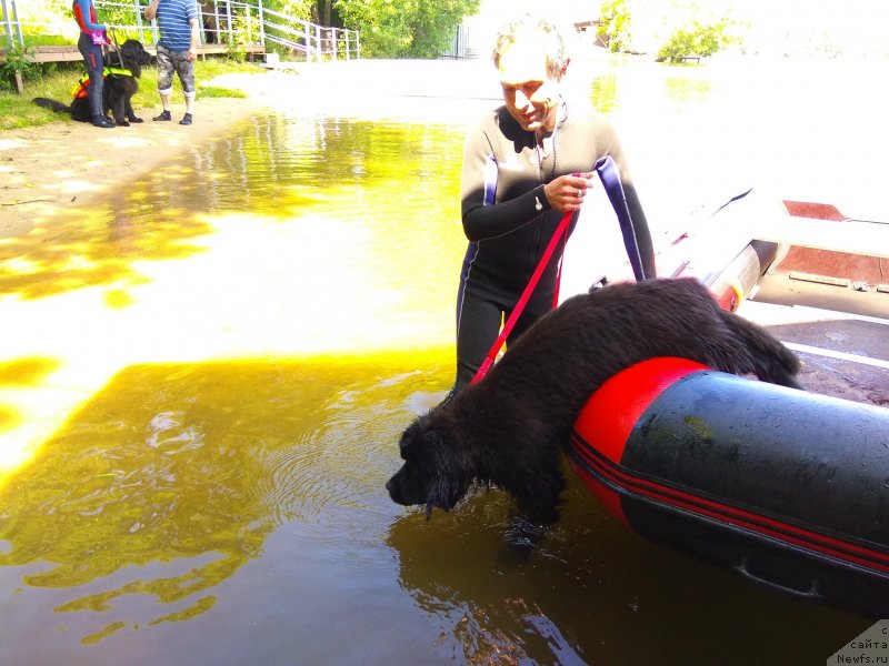 Фотография № 236095