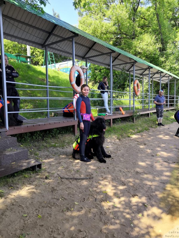 Фотография № 236097