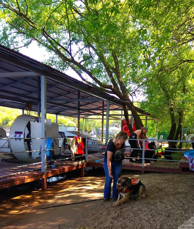 Фотография № 236099