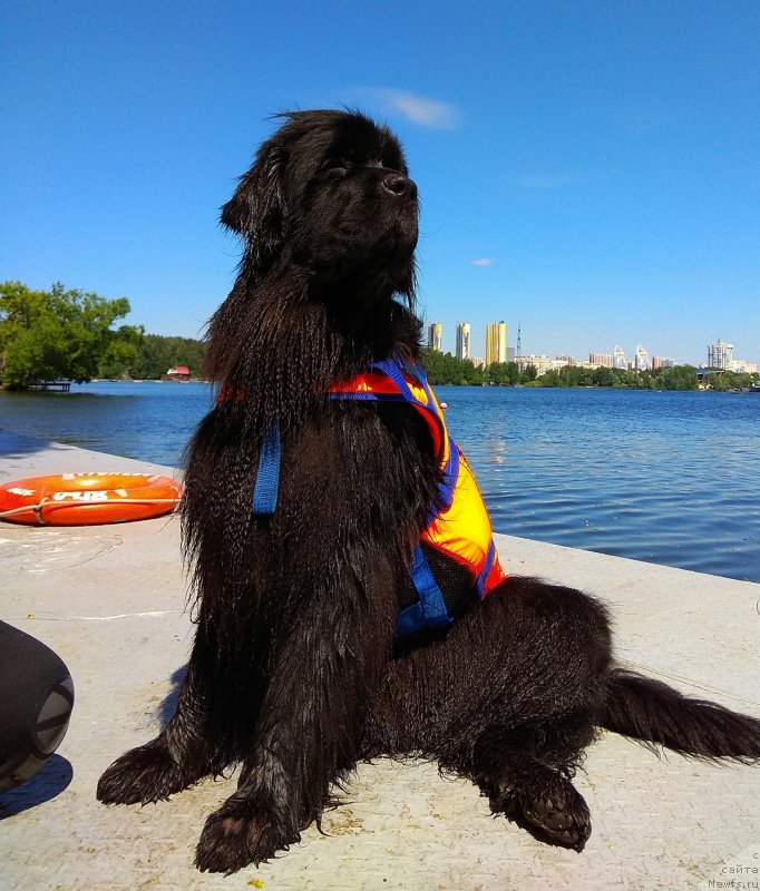 Фотография № 236100