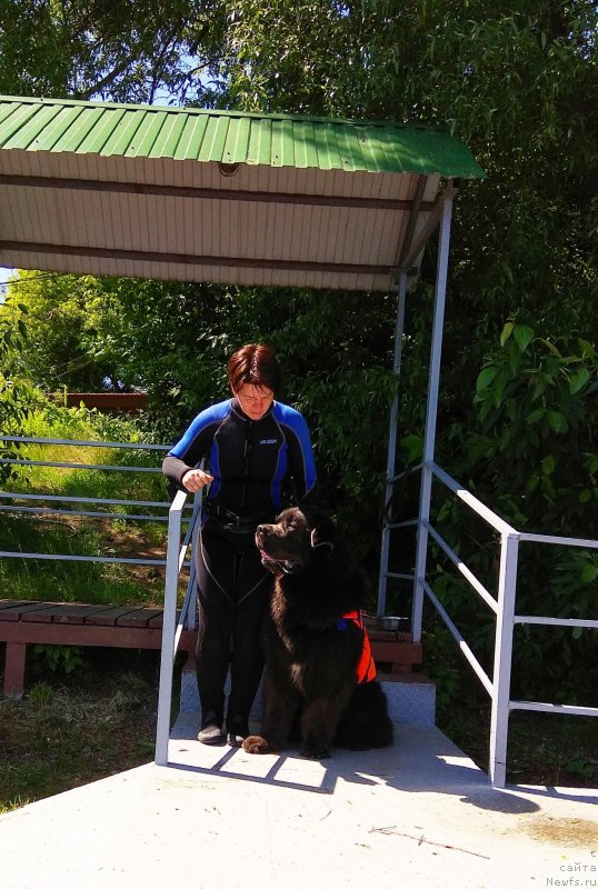 Фотография № 236101