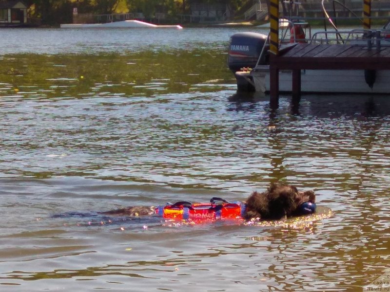 Фотография № 236102