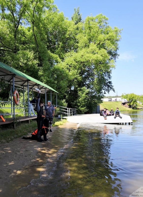 Фотография № 236105