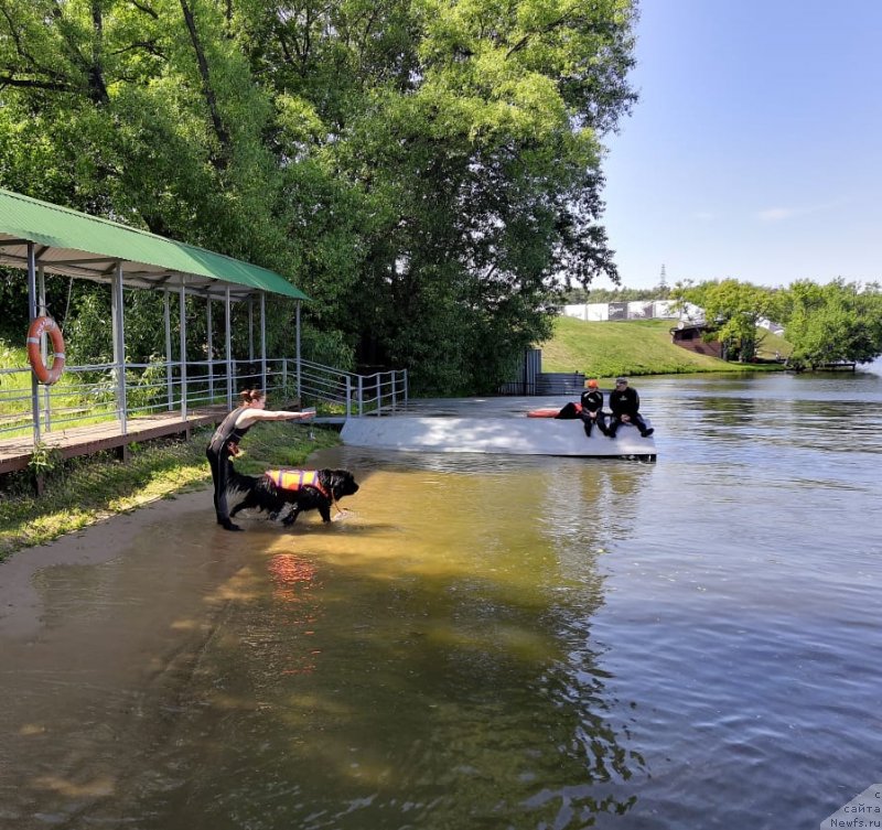 Фотография № 236106