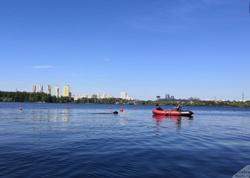 Фотография № 236107