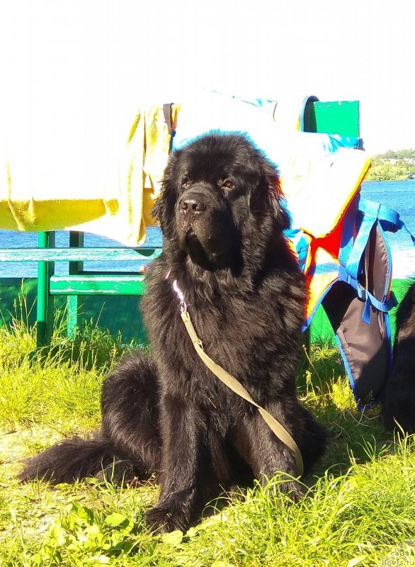 Фотография № 236108