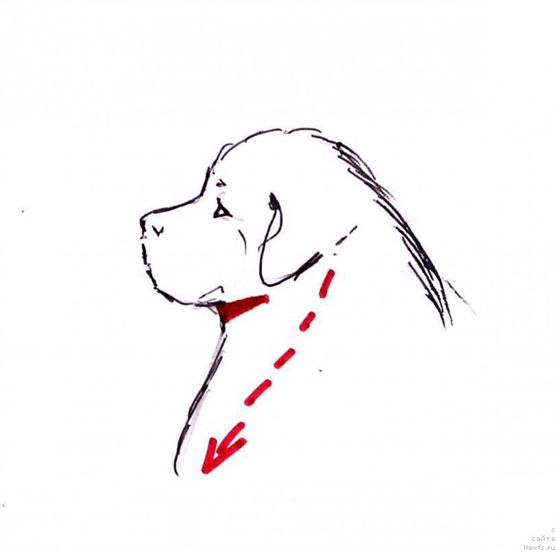 Фотография № 236119