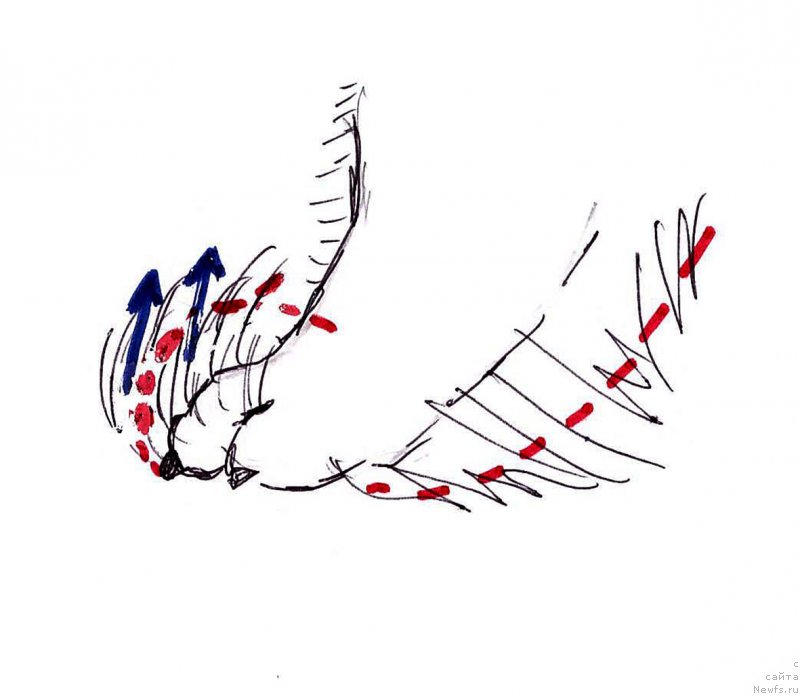 Фотография № 236124