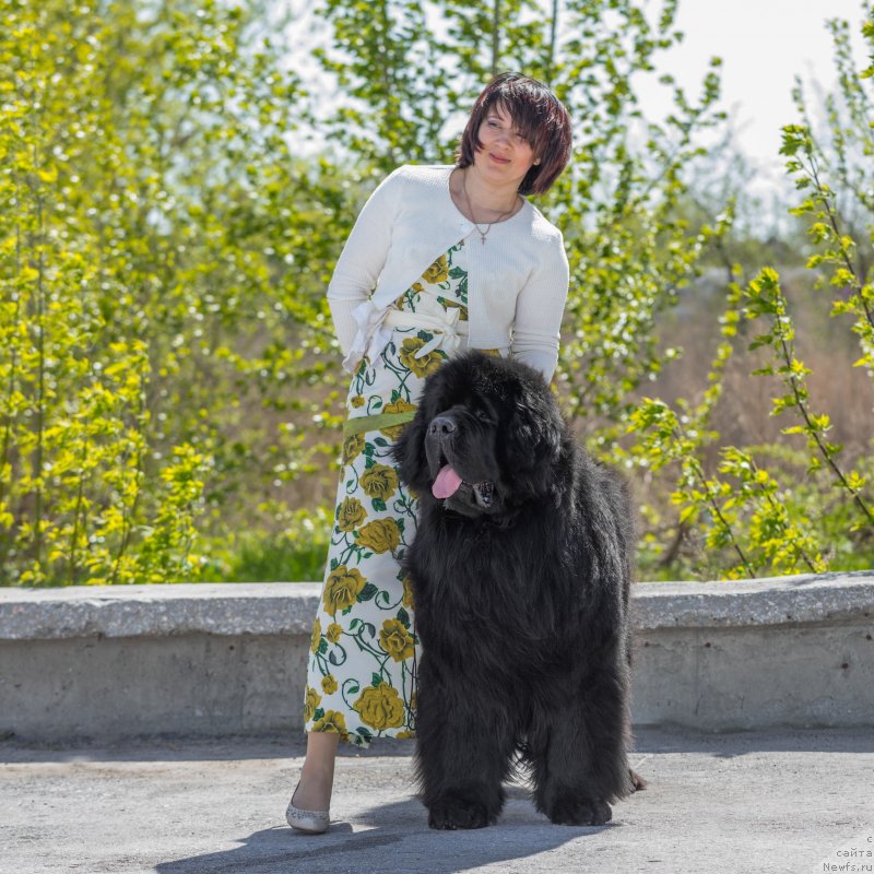 Фотография № 236131