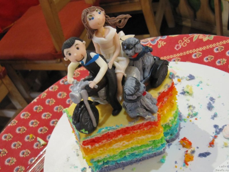 Фотография № 236137