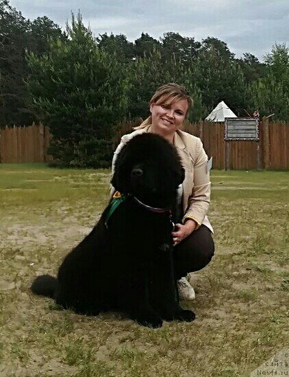 Фотография № 236143