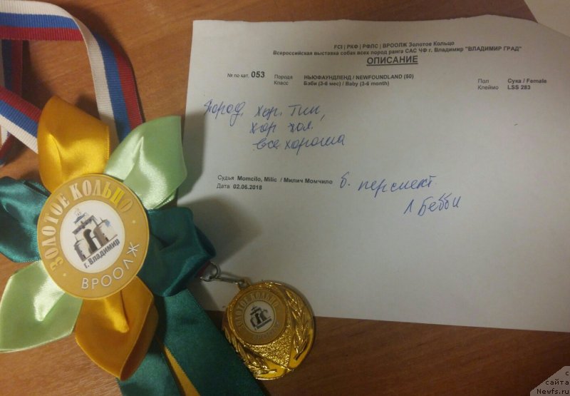 Фотография № 236146