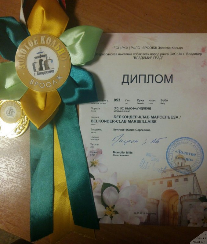 Фотография № 236147