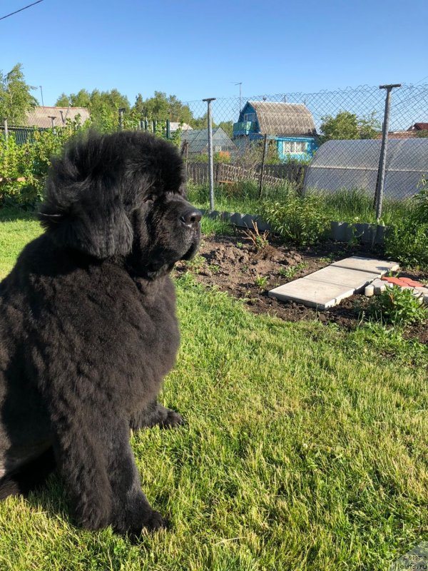 Фотография № 236156