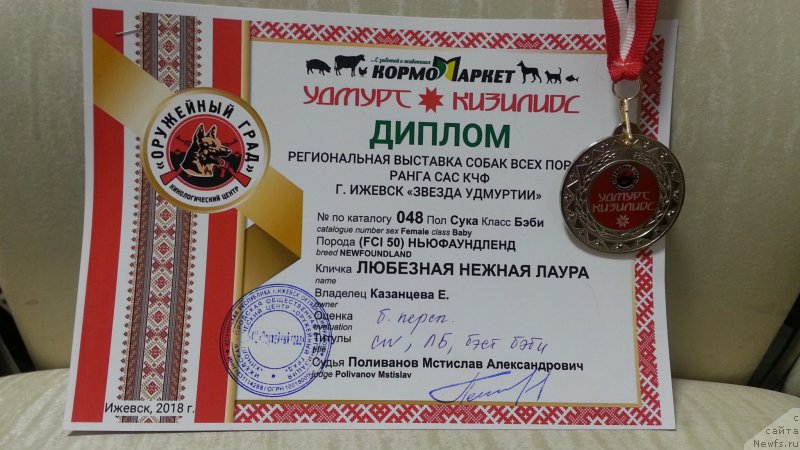 Фото: ньюфаундленд Lyubeznaya Nezhnaya Laura (Любезная Нежная Лаура)