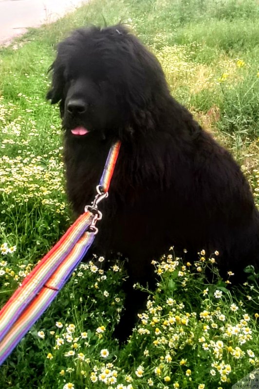 Фотография № 236165