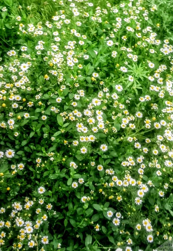 Фотография № 236168