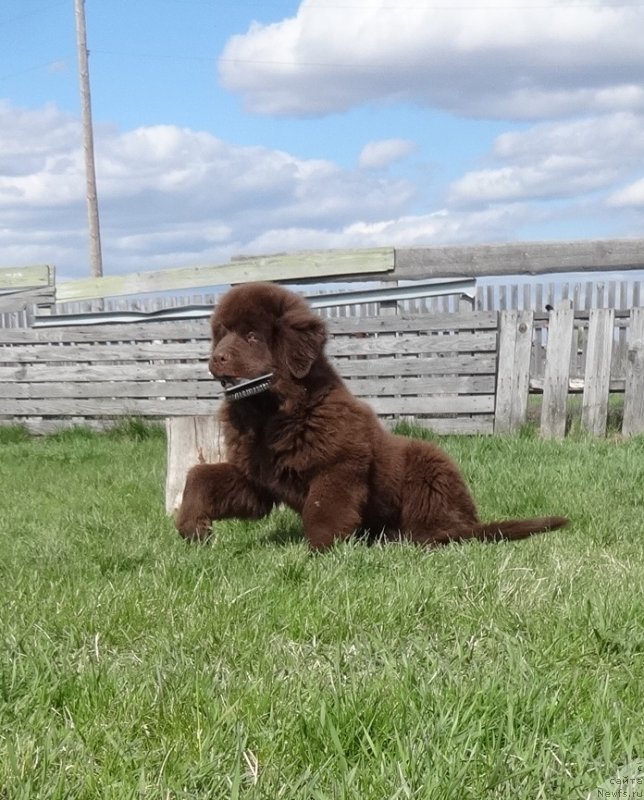 Фотография № 236189