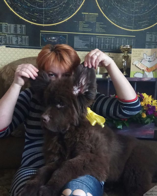 Фотография № 236200