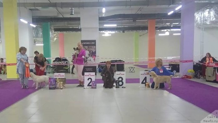 Фотография № 236201