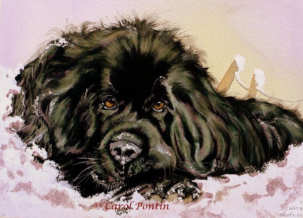 Фотография № 236205