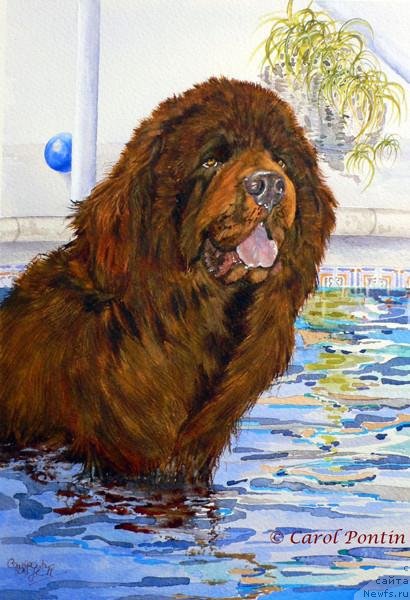 Фотография № 236206